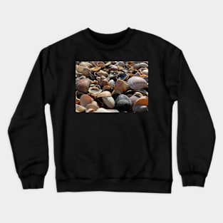 SEA SHELLS AND SAND DESIGN Crewneck Sweatshirt